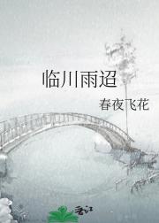 临川雨迢