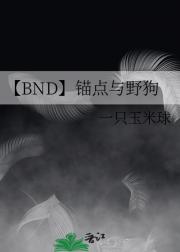 【BND】锚点与野狗