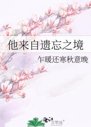 他来自遗忘之境
