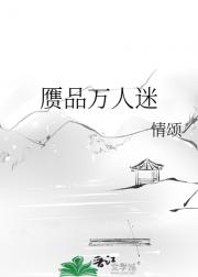 赝品万人迷