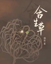 将门虎女升职记