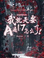 [SEVENTEEN]我就是要A遍17怎