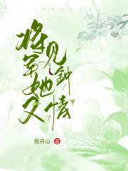 将军她又一见钟情了
