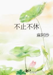 不止不休