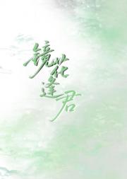 镜花逢君