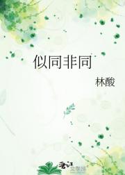 似同非同