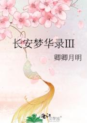 长安梦华录Ⅲ