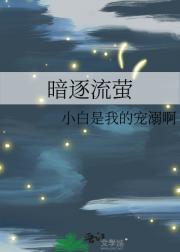暗逐流萤