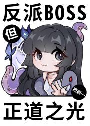 幕后BOSS，但正道之光
