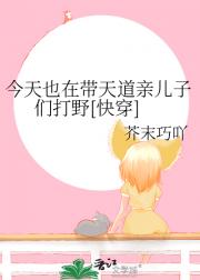 今天也在带天道亲儿子们打野