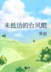 未抵达的台风眼