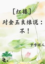 [红楼]对金玉良缘说：不！