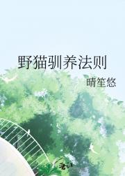 野猫驯养法则