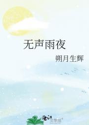 无声雨夜