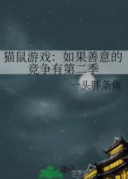 猫鼠游戏：如果善意的竞争有第二季