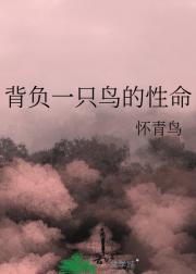 背负一只鸟的性命
