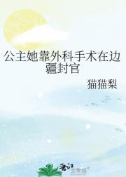公主她靠外科手术在边疆封官