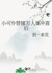 替嫁疯批少爷后