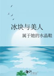 冰块与美人