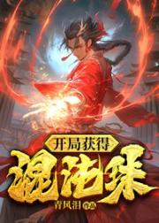 开局获得混沌珠