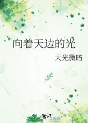 向着天边的光