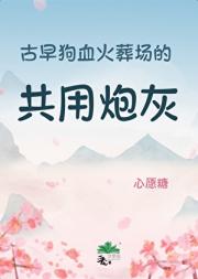 古早狗血火葬场的共用炮灰