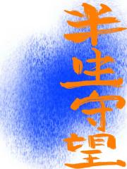 半生守望