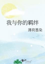 我与你的羁绊