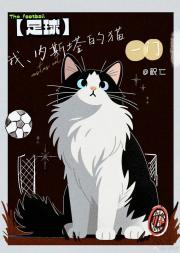 [足球]我，内斯塔的猫，一门