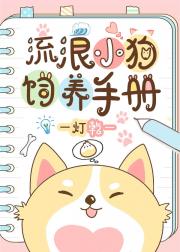 流浪小狗饲养手册