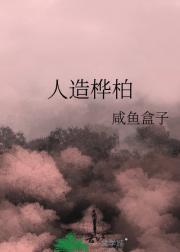 人造桦柏