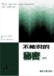 [HP]不能说的秘密