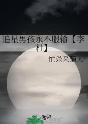 追星男孩永不服输【李杜】