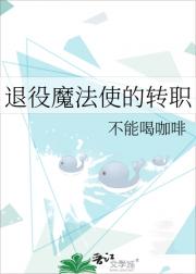 退役魔法使的转职
