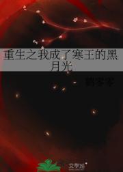 重生之我成了寒王的黑月光