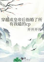 穿越成皇帝后指婚了所有我磕的cp