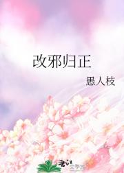 改邪归正