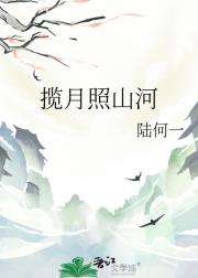 揽月照山河
