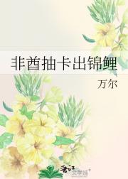 非酋抽卡出锦鲤