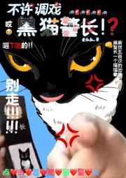 喂！不许调戏黑猫警长！
