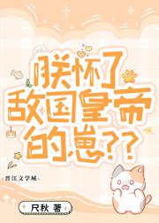 朕怀了敌国皇帝的崽？？