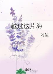 越过这片海
