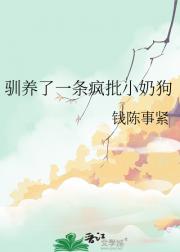喜闻月见