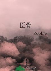 寻云策