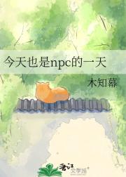 今天也是npc的一天