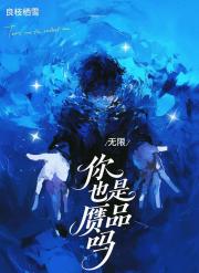 你也是赝品吗[无限]