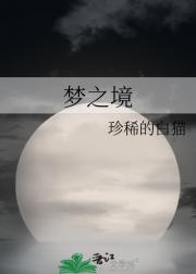 梦之境