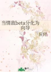 当情敌beta分化为向导