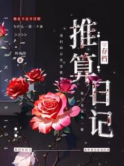 推算游戏：存档