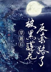 穿越后被黑莲花反套路了